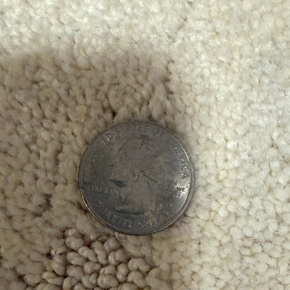 US American Quarter Louisiana Kisatchie (2015) - Picture 7 of 10